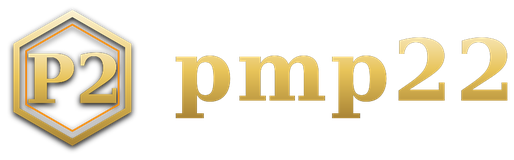 pmp22 logotipo